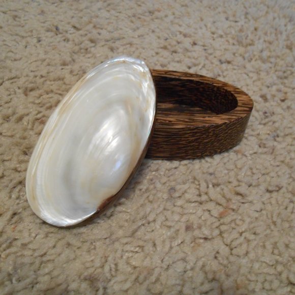 Shell Trinket Box - Picture 6 of 7